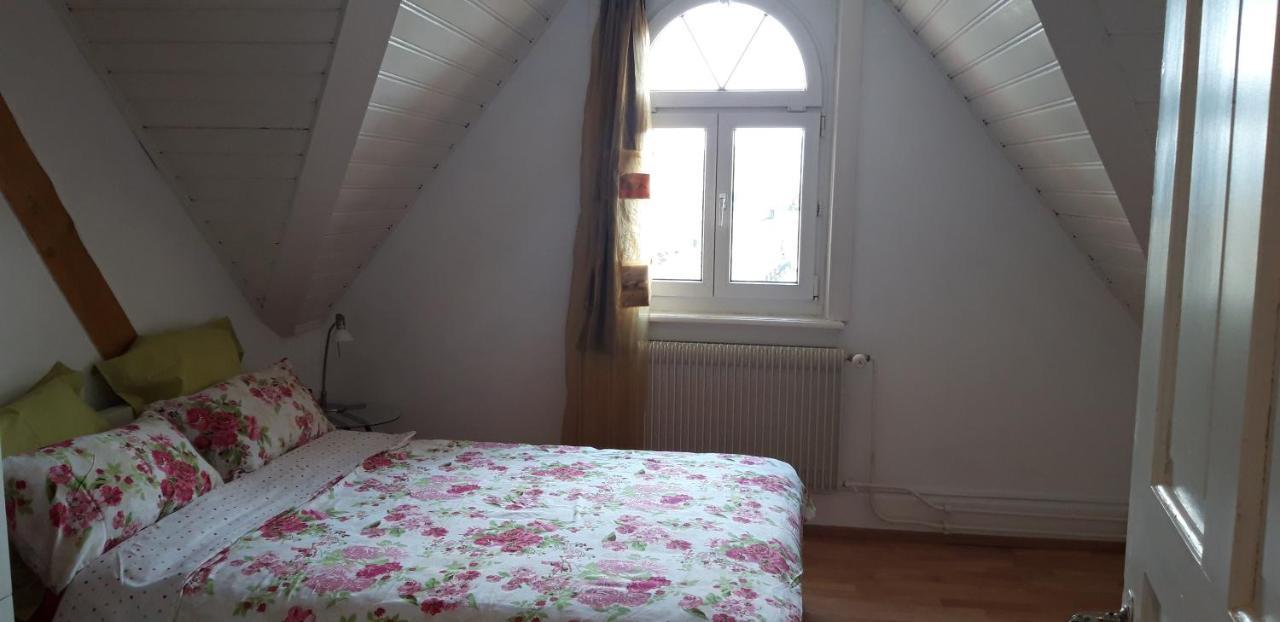 Ferienwohnung Stein Am Rhein Nahe Bahnhof Und Rhein 외부 사진