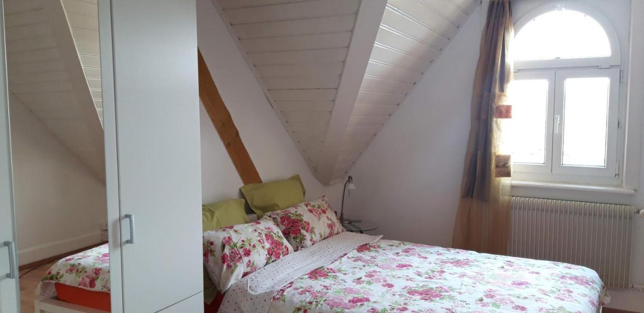 Ferienwohnung Stein Am Rhein Nahe Bahnhof Und Rhein 외부 사진